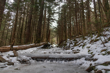Icy Appalachian Trail, hiking trail in the Great Smoky Mountains National Park