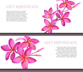 Gift card template set with plumeria flowers on white background. Tropical illustration for spa salon or packaging.