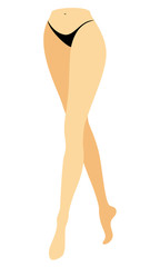 Silhouette figure of a lady in a bikini. Slender legs of a young girl. The woman is coming. Feet well-groomed, beautiful silky skin. Vector illustration