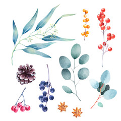 Set of watercolor winter berries, eucalyptus, cones and twigs. Hand drawn isolated floral holiday design elements.