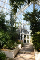 Jardin botanique de Meise (Brabant flamand- Belgique)