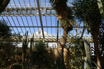 Jardin botanique de Meise (Brabant flamand- Belgique)