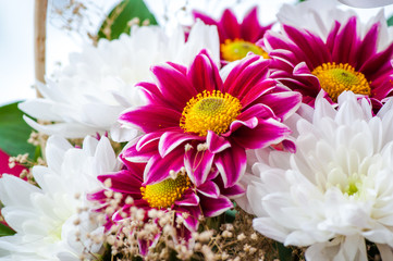 Beautiful gerbera flower basket