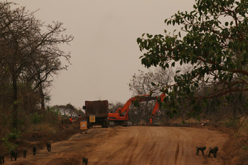 Obraz premium New road over the Murchinson falls national park in Uganda. Protected landscape destroyed by developers.
