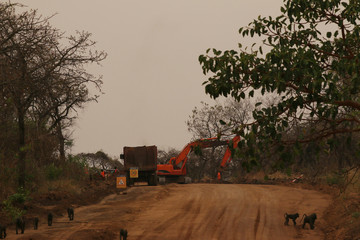 New road over the Murchinson falls national park in Uganda. Protected landscape destroyed by developers.