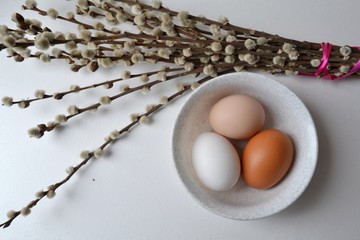 eggs and pussy willow