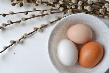 eggs and pussy willow