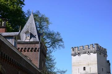 Jardin botanique de Meise (Brabant flamand- Belgique)
