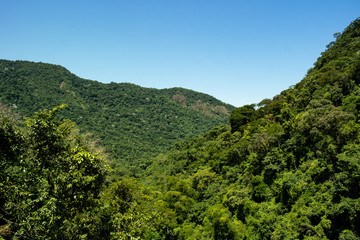 Landscape with trees and mountains