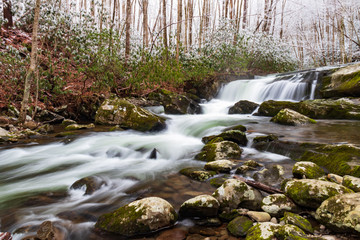 Obraz premium Winter scenery of cascading mountain stream in Great Smoky Mountains National Park
