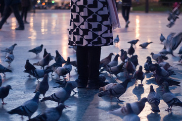 Heart amongst the pigeons