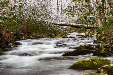 Winter scenery of mountain stream in Great Smoky Mountains National Park