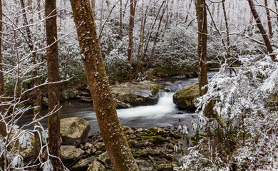 Fototapeta na wymiar Winter scenery of mountain stream in Great Smoky Mountains National Park