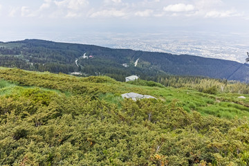 Summer Landscape of Vitosha Mountain, Sofia City Region, Bulgaria