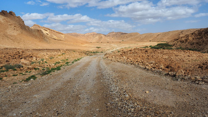 Road in the Negev Desert