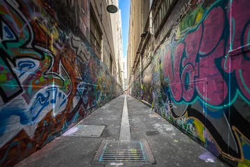 Peel and stick wall murals Narrow Alley street art in melbourne