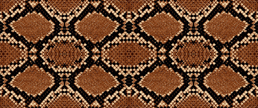 Snake skin pattern texture repeating seamless. Vector. Texture snake. Fashionable print.