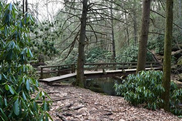 Wooden bridge over a creek