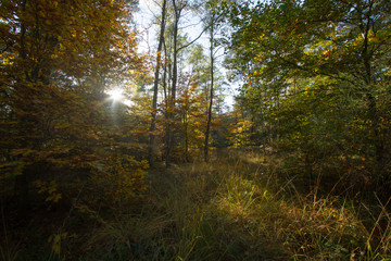 vallée de chevreuse