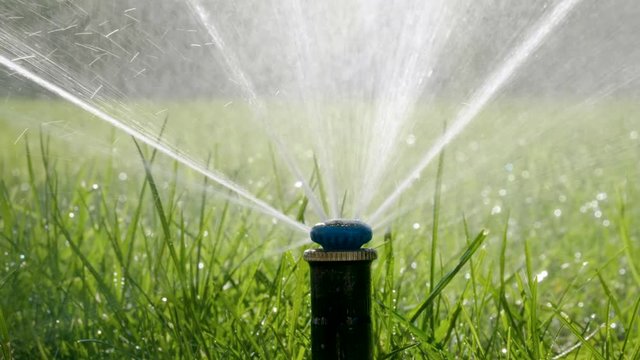 Close-up shot of a nozzle for spraying of water of automatic watering system of a lawn with lush green grass in sunny day. 4K