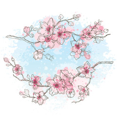 Cherry blossom, watercolor spring sakura flowers on sky blue background, hand drawn art set. Cute oriental painted plant. Botanil pastel vector illustration, isolated on white. Springtime sketch © Olga Che