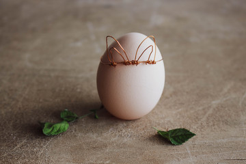Spring egg, egg with leaves with place for text. Easter concept on wooden raw background
