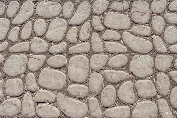 A beautiful texture of path of gray smooth stones with yellow maple seeds and pine needles in the park