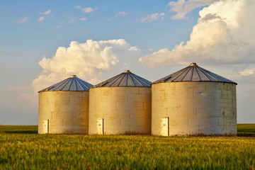 metal grain silos in farm field
