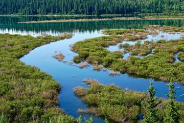 Foto op Plexiglas Reservoir Wetlands © Kim