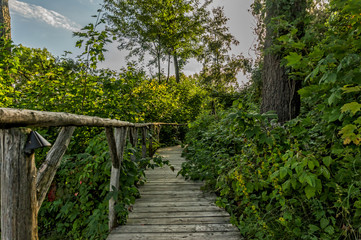 Fototapeta na wymiar Lake Massawippi, Quebec, Canada-- September 4, 2014: Rustic wooden garden path with lush vegatation in the late afternoon