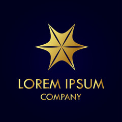 Abstract elegant logo design