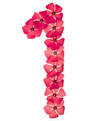 Numeral 1, one, from natural red flowers of periwinkle, isolated on white background
