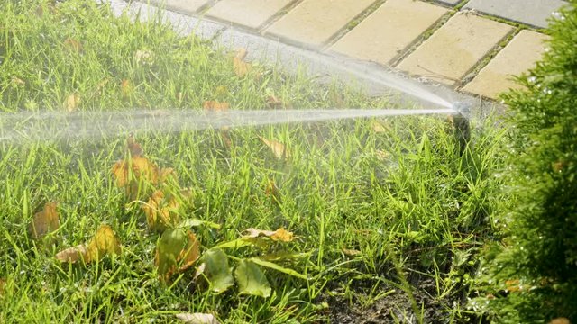 Close-up shot of a nozzle for spraying of water of automatic watering system of a lawn with lush green grass in sunny day. 4K