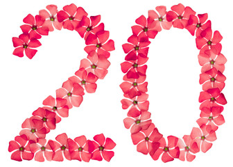 Numeral 20, twenty, two, from natural red flowers of periwinkle, isolated on white background