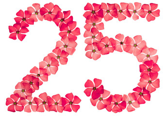Numeral 25, twenty five, from natural red flowers of periwinkle, isolated on white background