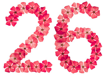 Numeral 26, twenty six, from natural red flowers of periwinkle, isolated on white background