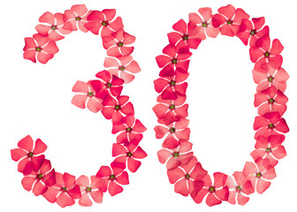 Numeral 30, thirty, from natural red flowers of periwinkle, isolated on white background