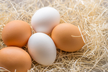 Two white and three brown eggs on the background of hay.