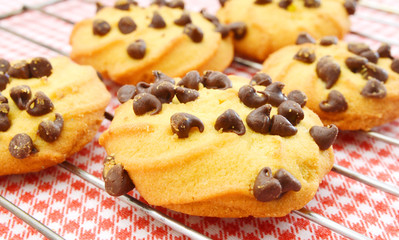 Delicious Fresh Chocolate Chip Cookies