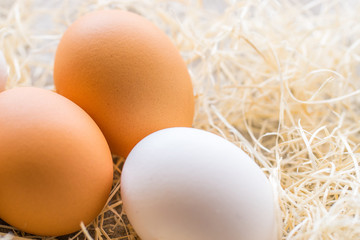 One white and two brown eggs on the background of hay.