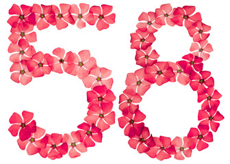Numeral 58, fifty eight, from natural red flowers of periwinkle, isolated on white background