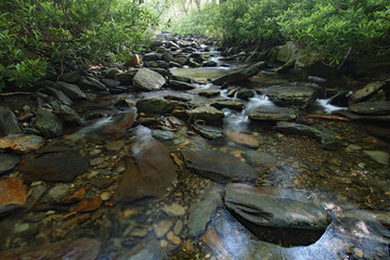 Naklejka na ściany i meble Trailside creek in the Great Smoky Mountains National Park, Tennessee, in early summer.