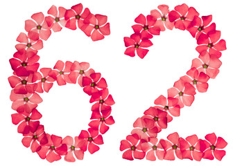 Numeral 62, sixty two, from natural red flowers of periwinkle, isolated on white background