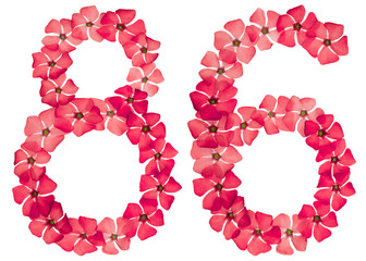 Numeral 86, eighty six, from natural red flowers of periwinkle, isolated on white background