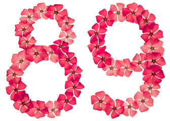 Numeral 89, eighty nine, from natural red flowers of periwinkle, isolated on white background