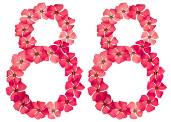 Numeral 88, eighty eight, from natural red flowers of periwinkle, isolated on white background