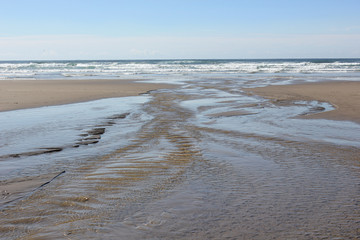 creek to ocean beach