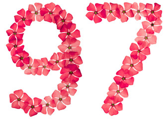 Numeral 97, ninety seven, from natural red flowers of periwinkle, isolated on white background
