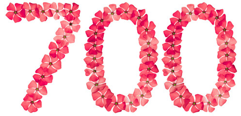 Numeral 700, seven hundred, from natural red flowers of periwinkle, isolated on white background