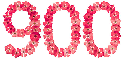 Numeral 900, nine hundred, from natural red flowers of periwinkle, isolated on white background